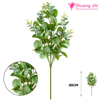 Vara Larga Eucalipto 80CM 5 ramas Verde Claro