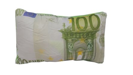 Cojin 100 Euros